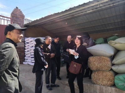 全國畜牧總站深入尋甸開展調研，共繪現代畜牧業與飼料銷售新藍圖